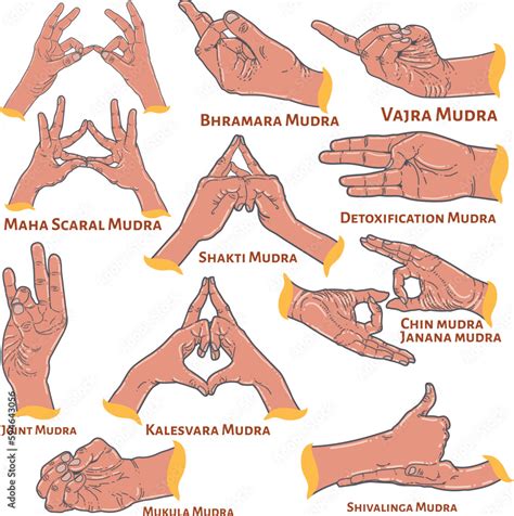 Yoga Mudra Gestures Set 10 Hand Gesture เวกเตอร์สต็อก Adobe Stock