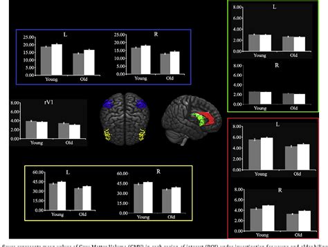 Table 1 from Neuroplasticity across the lifespan and aging effects in ...