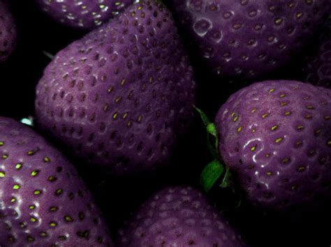 Purple Strawberries by Fae-Falor on DeviantArt