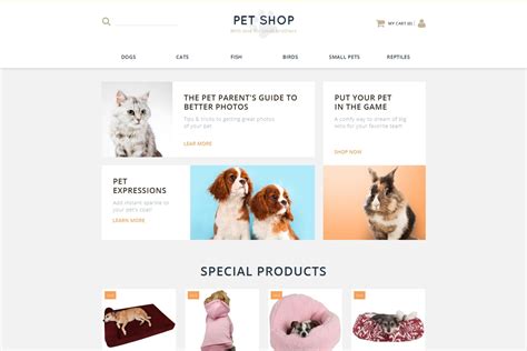 Pet Store Website Design For Online Petshop Motocms