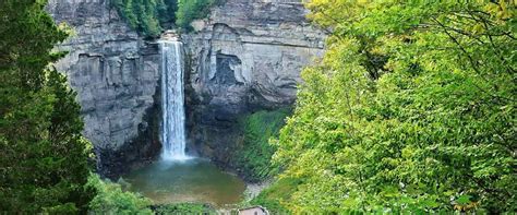 Ithaca, NY: A Land of Gorges, Greenery, Gardens and Goats