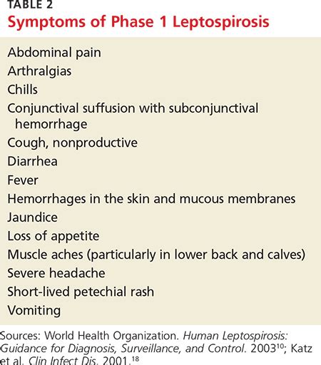 leptospirosis symptoms in humans - Anna Mathis