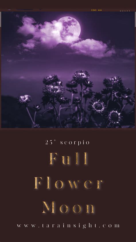 Full Flower Moon Moon Sorce