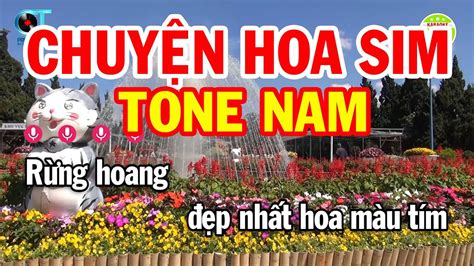 Karaoke Chuy N Hoa Sim Tone Nam Cm Nh C S Ng M I Karaoke