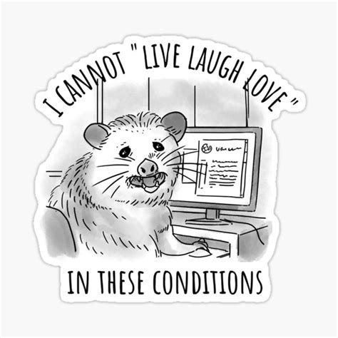 Opossum Live Laugh Love I Cannot Live Laugh Love In These Conditions