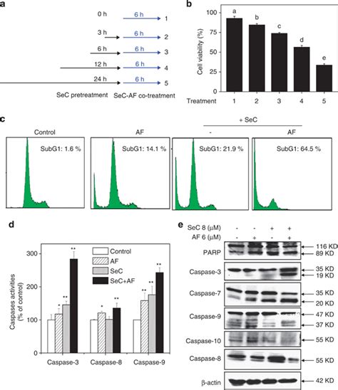 SeC Enhances AF Induced Growth Inhibition And Apoptosis In A549 Cells