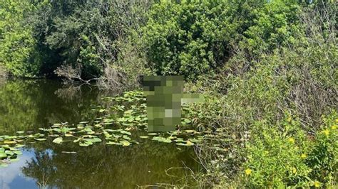 Body Found Floating In Canal In Martin County