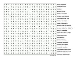 Sopa De Letras Taller Ambiental PPT