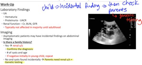 Peds Gu And Renal Flashcards Quizlet