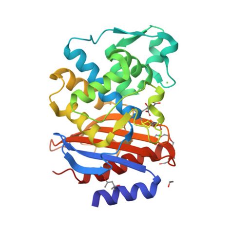 Rcsb Pdb Eoe Crystal Structure Of Extended Spectrum Beta Lactamase