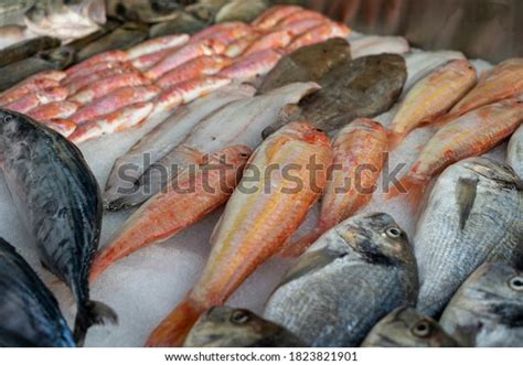 Fish Types Eat Photos, Images & Pictures | Shutterstock