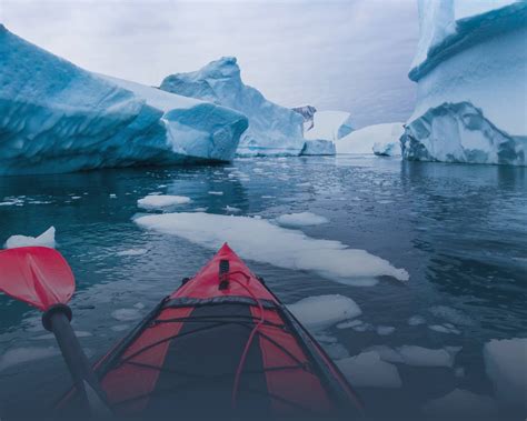 Kayaking in Antarctica: What to Know & What to Expect - TourRadar