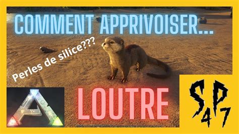 Comment Apprivoiser Une Loutre Ark Survival Evolved Tuto Youtube