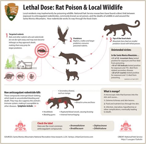 how much rat poison is fatal to cats