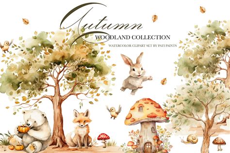 Autumn Woodland Animals Collection - Design Cuts