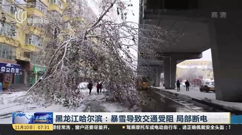 黑龙江哈尔滨：暴雪导致交通受阻 局部断电凤凰网视频凤凰网