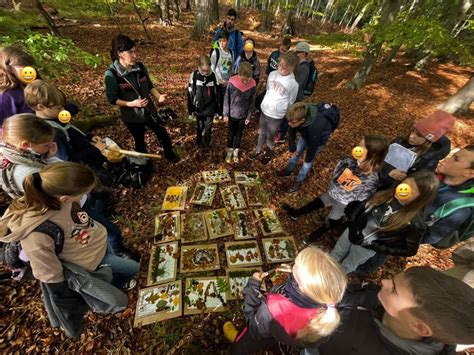 Lernen In Der Schokoladerie Im Wald Und An Anderen Orten Greenhouse