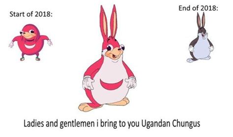 Big Chungus Wiki •meme• Amino