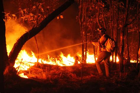 Hay Nueve Incendios Forestales Activos En Durango