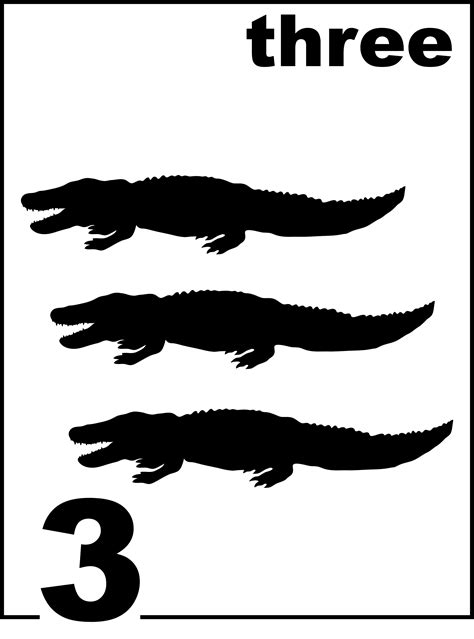 English Alligator Counting Card 3 Clipart Etc