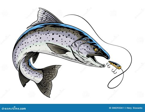 Fishing Steelhead Trout Shirt Design Vector Illustration