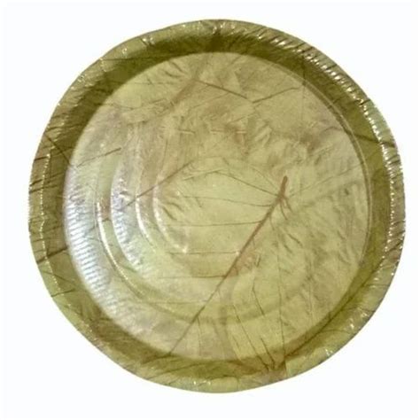 Inch Sal Leaf Design Paper Plate At Rs Piece Laminated Paper