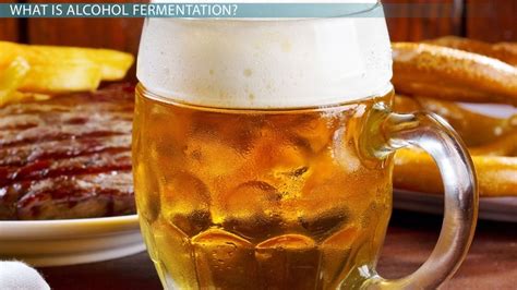 Alcoholic Fermentation | Definition, Equation & Process - Lesson ...