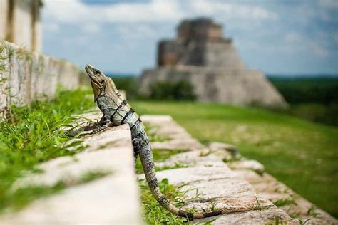 Famous Landmarks in Mexico You Must Visit!