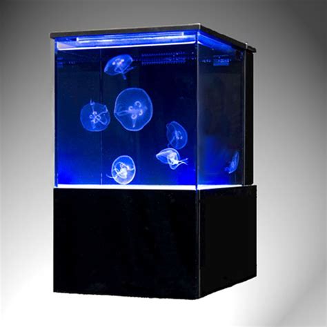 Taming The Ocean's Gentle Giants: The Complete Guide To Captive Jellyfish Care