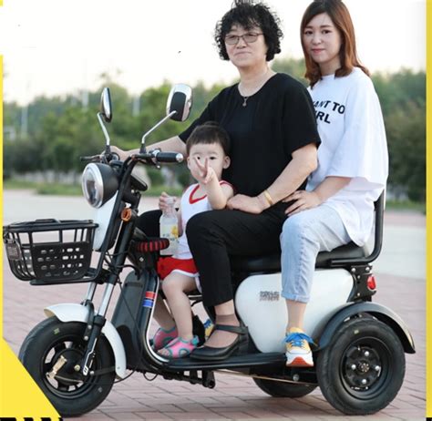 En12184 Ce Three Wheel Electric Scooter Tricycle For Adults With Roof ...