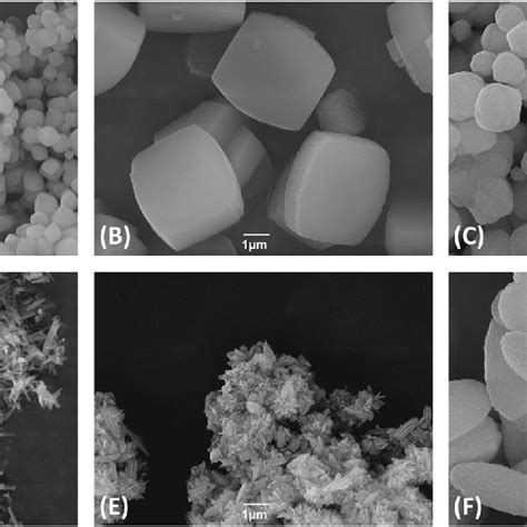 Scanning Electron Micrographs Sem Of The Synthesized Zeolites With A