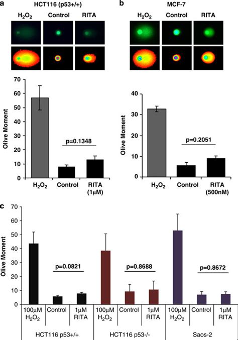 RITA induces DNA damage in p53-positive cells. (a) p53+/+HCT116 and (b ... 