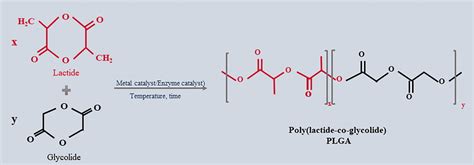 Chemical Structure Of Poly Lactic Co Glycolic Acid And Its Monomers