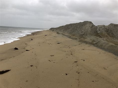 Beach Resiliency — Trustees On The Coast