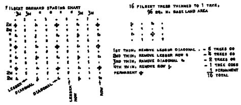 tree planting spacing chart - Keski