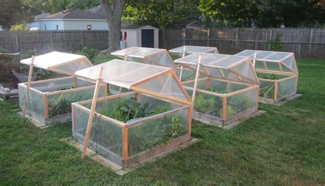 Using Greenhouse In Winter
