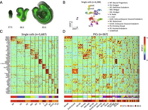 Neighbor Specific Gene Expression Revealed From Physically Interacting