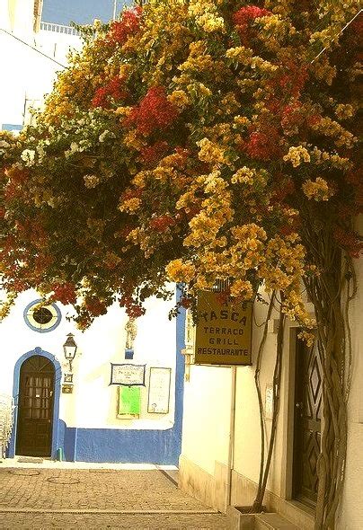 A walk in the old town, Albufeira, Portugal – Caroline Goodman