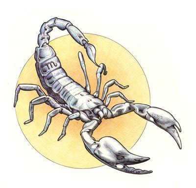 Free Scorpio Cliparts, Download Free Scorpio Cliparts png images, Free ...