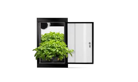 Complete Guide To Indoor Grow Rooms