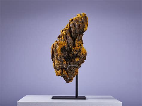 Carol Tresor | RARE LIMONITE FORMATION