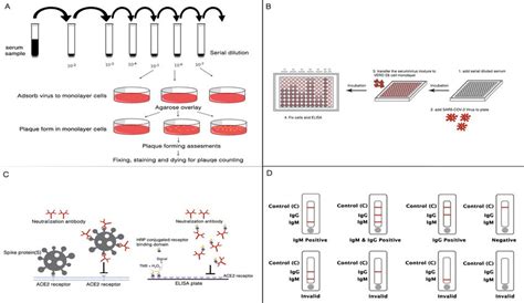 A Plaque Reduction Neutralization Prnt Test Steps B Mnt Assay