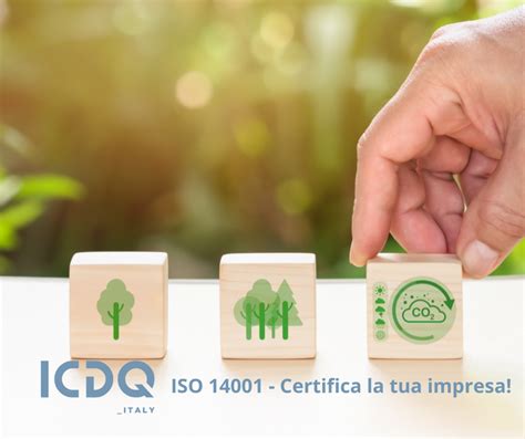 Sostenibilit Un Impegno Per Il Futuro Con La Certificazione Iso