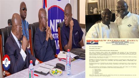 This Is Our Final Decision On Npp Nec Council Of Elders Crucial