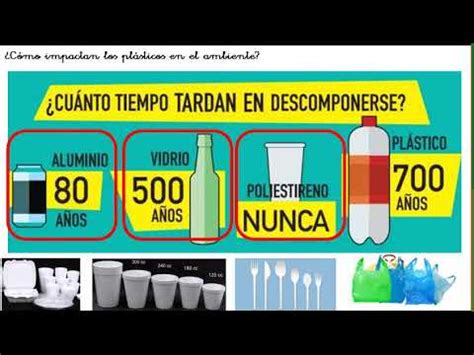 Cuánto tiempo tardan en descomponerse parte 1 YouTube