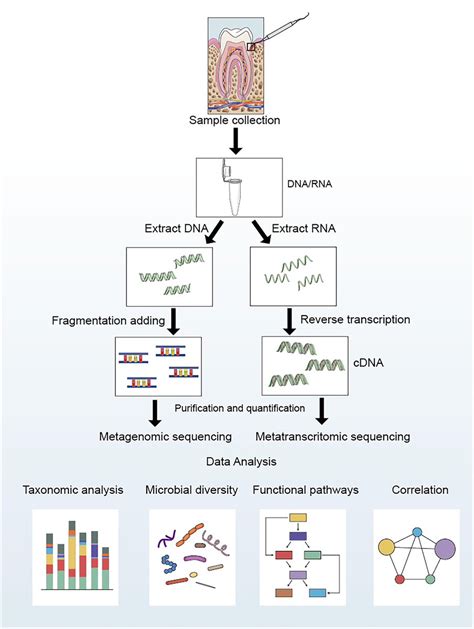 Metagenomic هو تحليل جيني للمجتمعات الميكروبية في بيئة معينة بدون