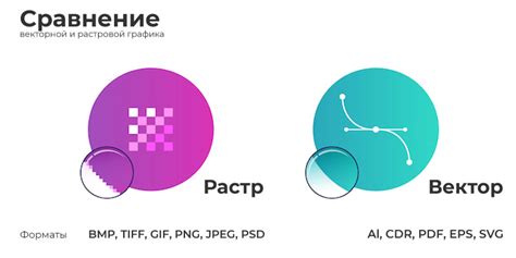 Векторная И Растровая Графика В Чем Разница | Статьи О Полиграфии