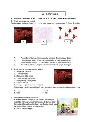 SOAL IPA SMP BAB6 STM PEREDARAN DARAH IPA8 S1 Doc