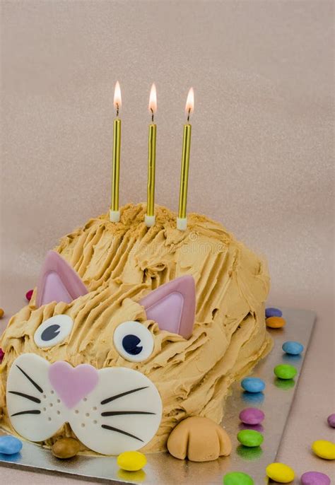 Funny Cat Birthday Cake with Sweet Stock Image - Image of banner, food ...