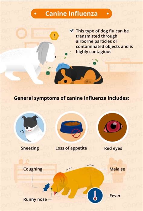 Common Causes of Puppy Coughing | Canna-Pet®